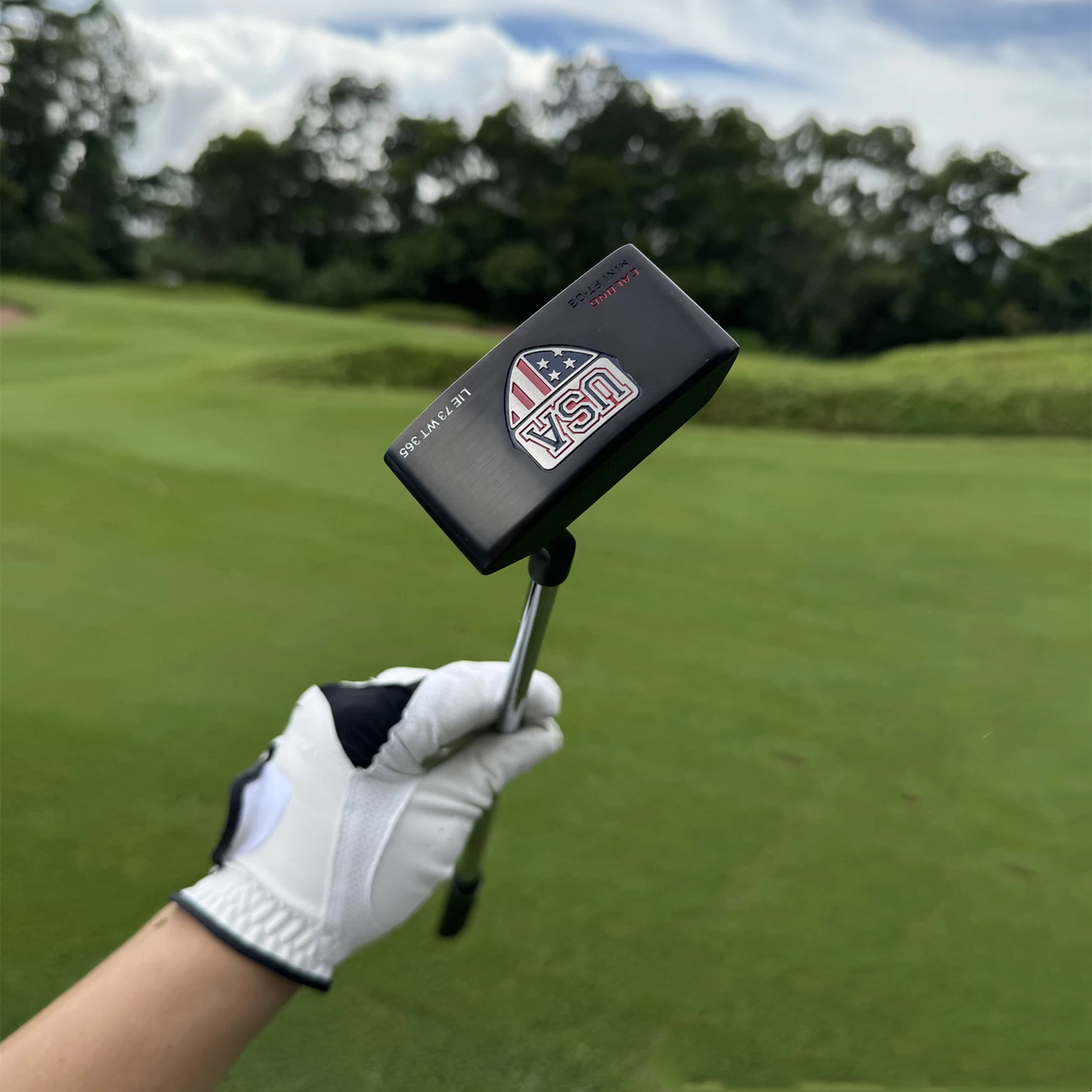 Calong USA Mini Golf Putter 375g Black/Silvery/Golden Colors 34inch CNC Milled Face -Improve Your Putter Game - Image 2