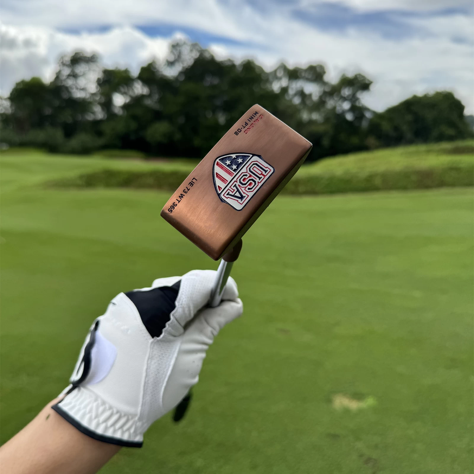 Calong USA Mini Golf Putter 375g Black/Silvery/Golden Colors 34inch CNC Milled Face -Improve Your Putter Game - Image 4